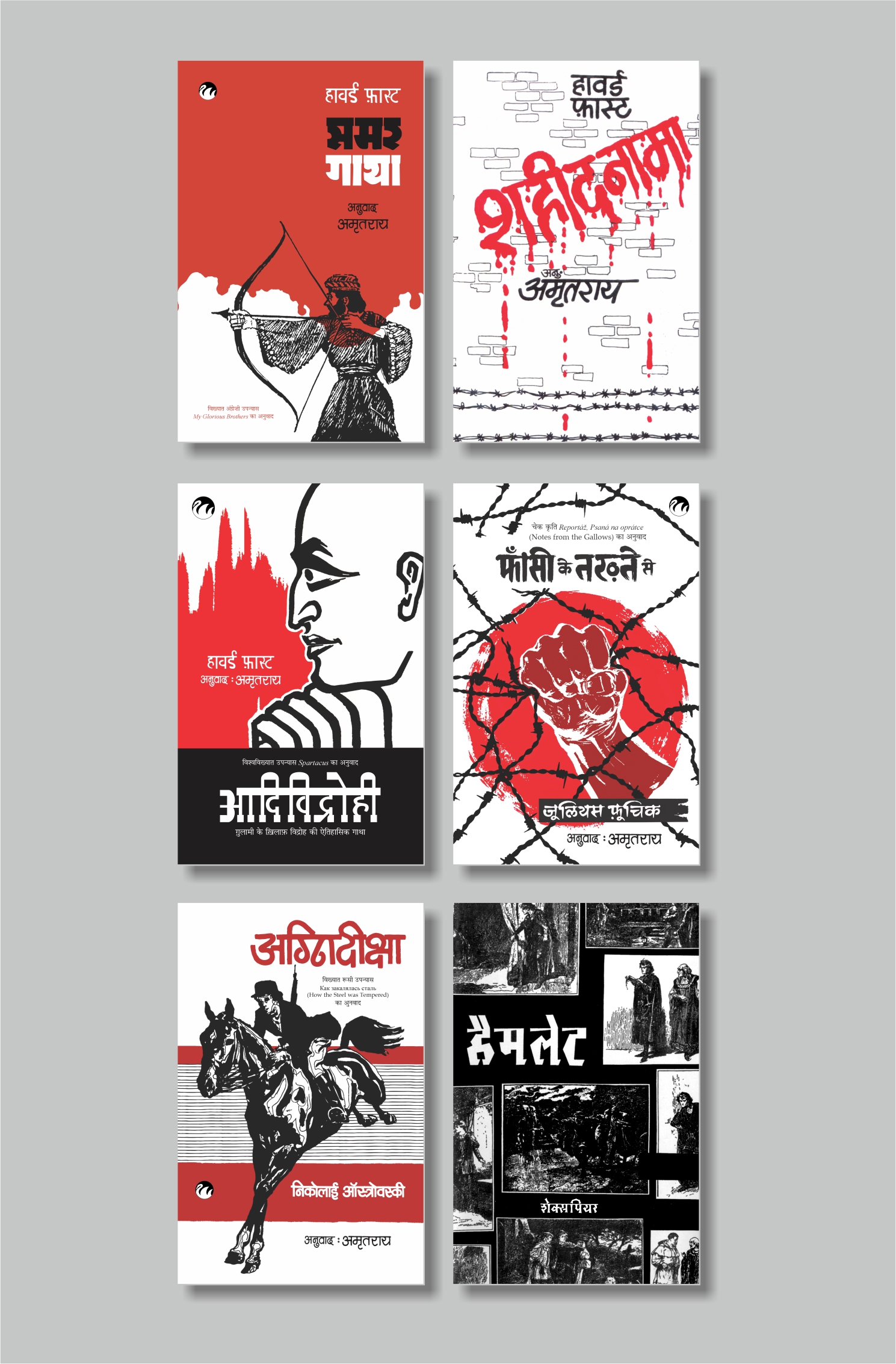 Amrit Rai Translations